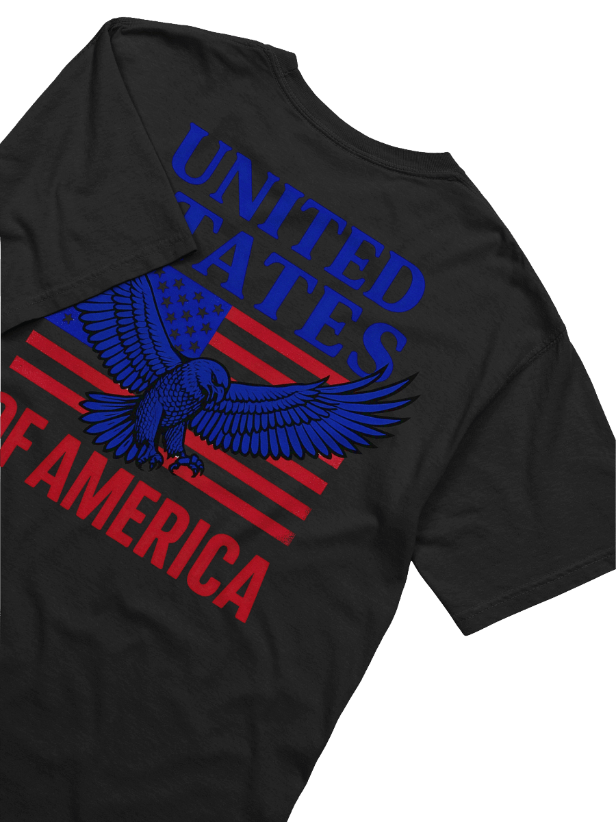 Patriotic Eagle Graphic Tee product image (37)