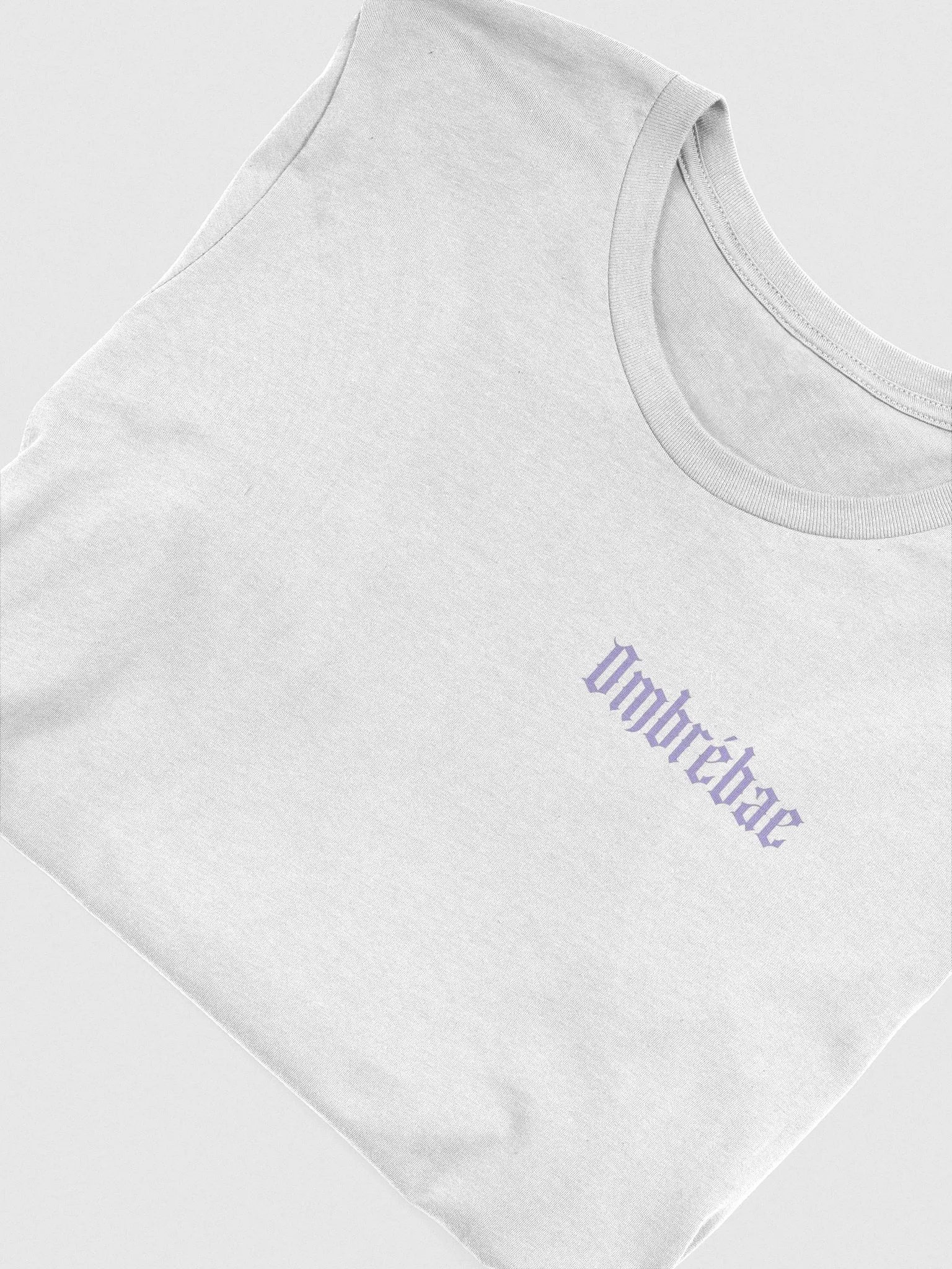 GOODBYE TEE product image (5)