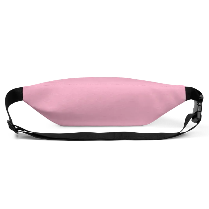 PinkPlasticPerfect Fanny pack bag product image (2)