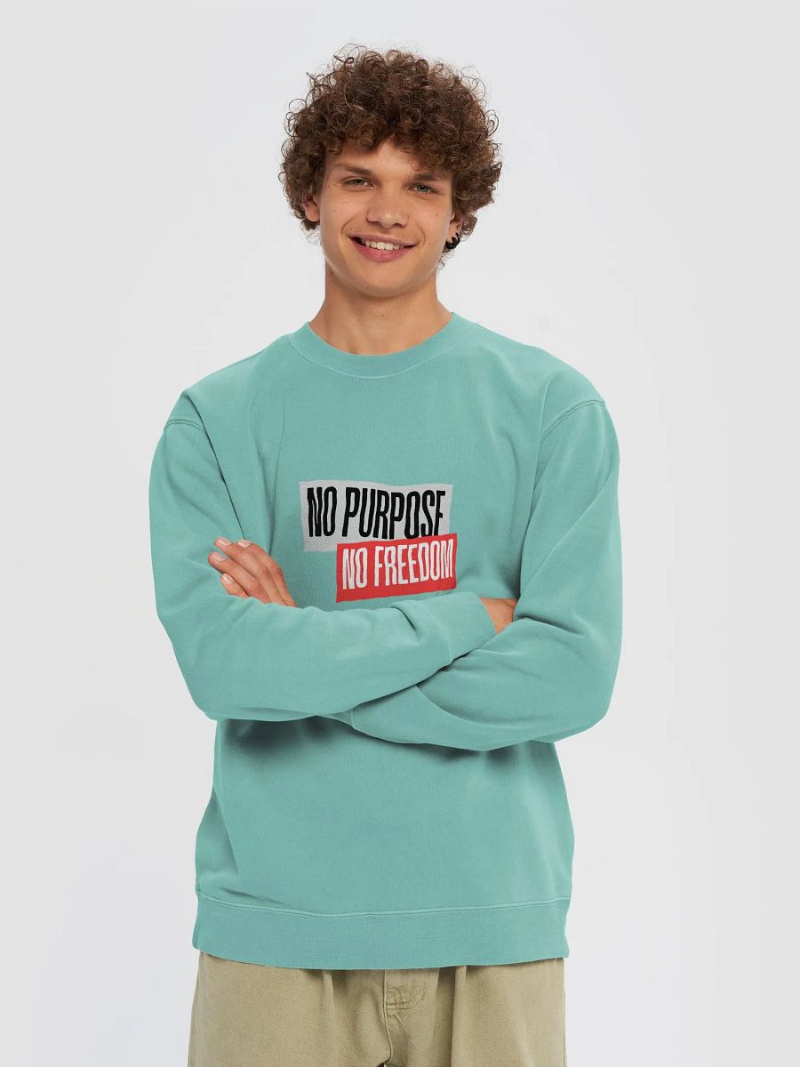 Rebellious Spirit Pigment Dyed Sweatshirt | No purpose no freedom product image (85)