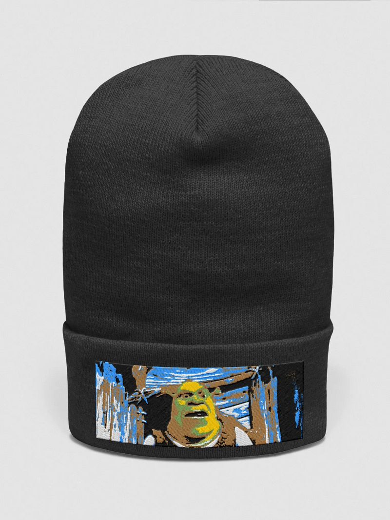 Shrek hat