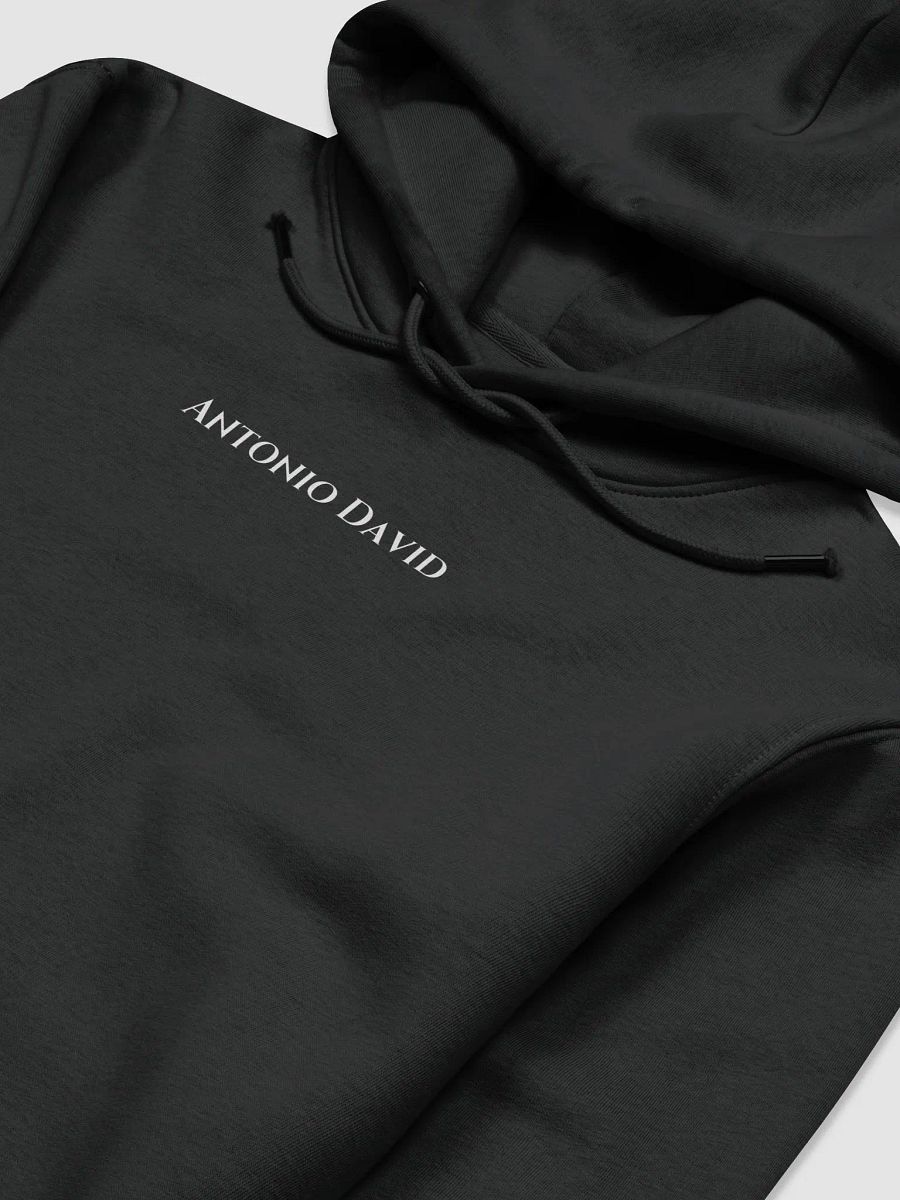 No Risk No Porsche Hoodie product image (3)