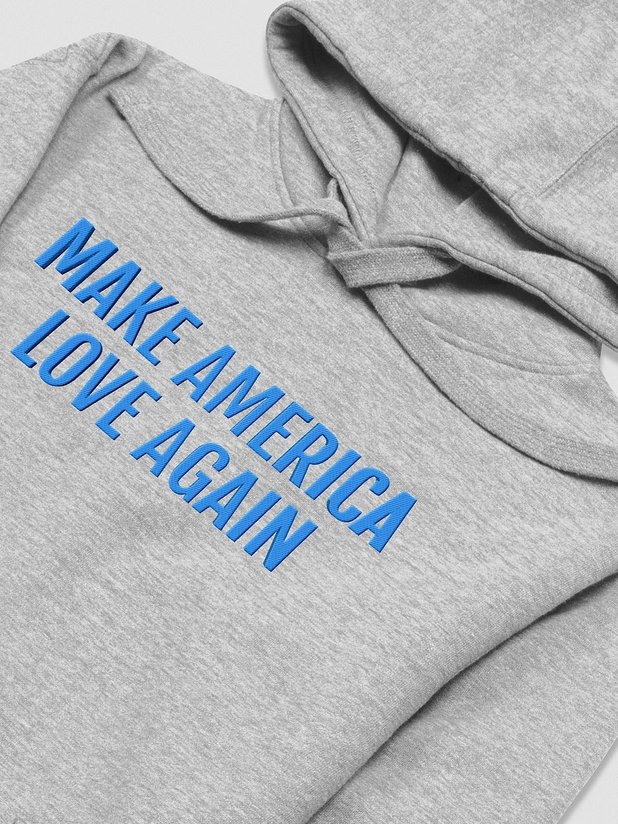 Make America Love Again - Embroidered Hoodie product image (3)