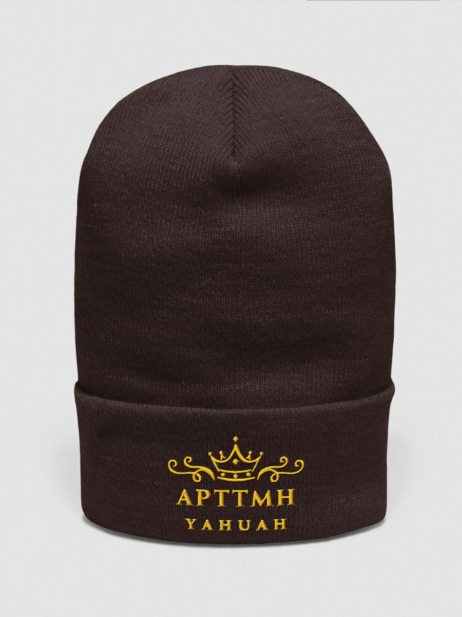 Ornate Emblem Yupoong Beanie product image (3)