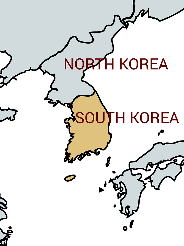 Risk Snapshot - South Korea product image (1)