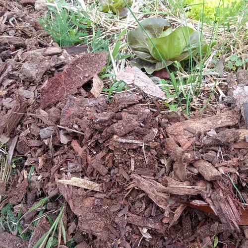 FFS ha finalmente capacità operativa per fornire un nuovo prodotto indispensabile per gli amanti della terra. 

Tutta la mate...