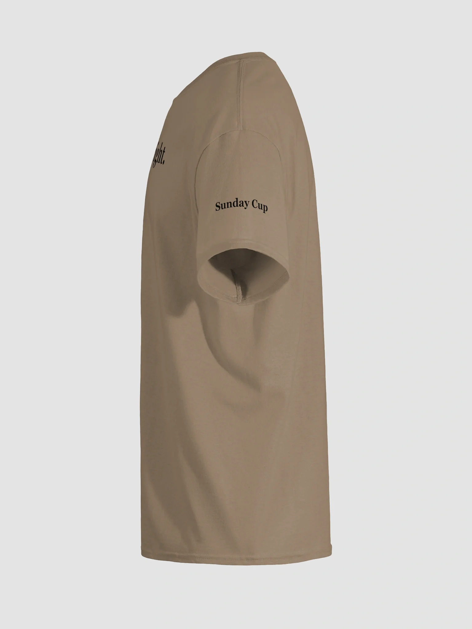 Light is Right (clean, gildan tee) product image (71)