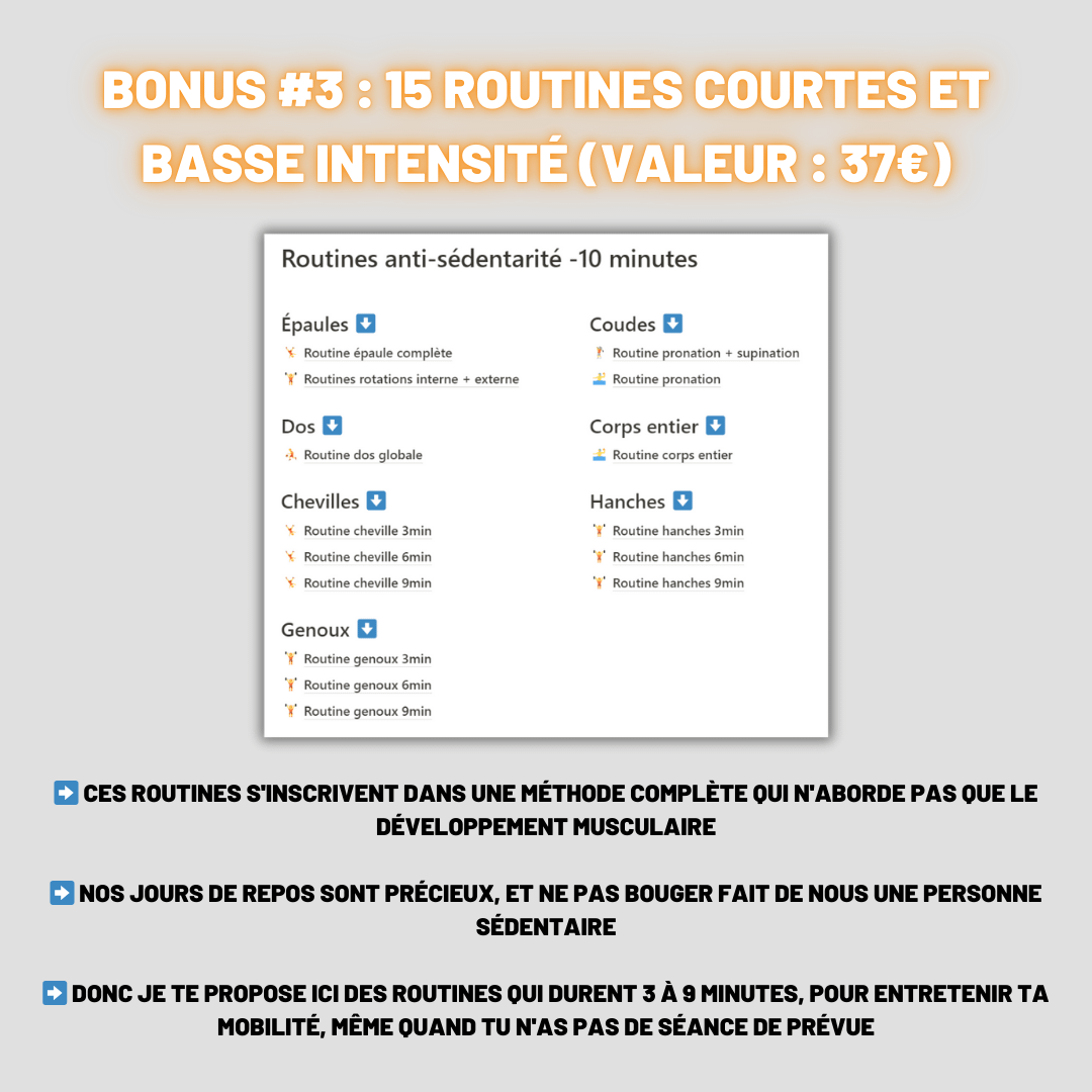 [Formation] Balèze aux élastiques NIVEAU 1 product image (7)