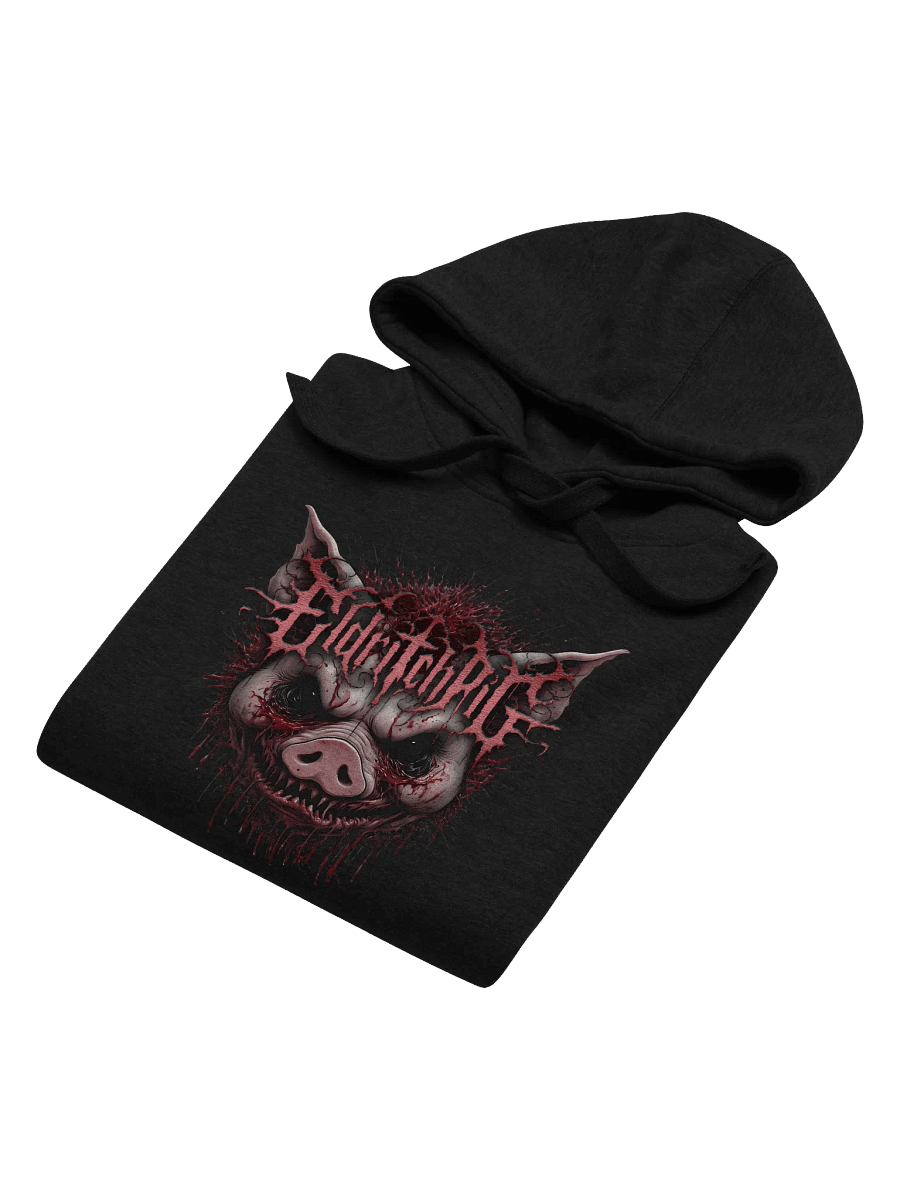 EP 2024 Hoodie product image (6)