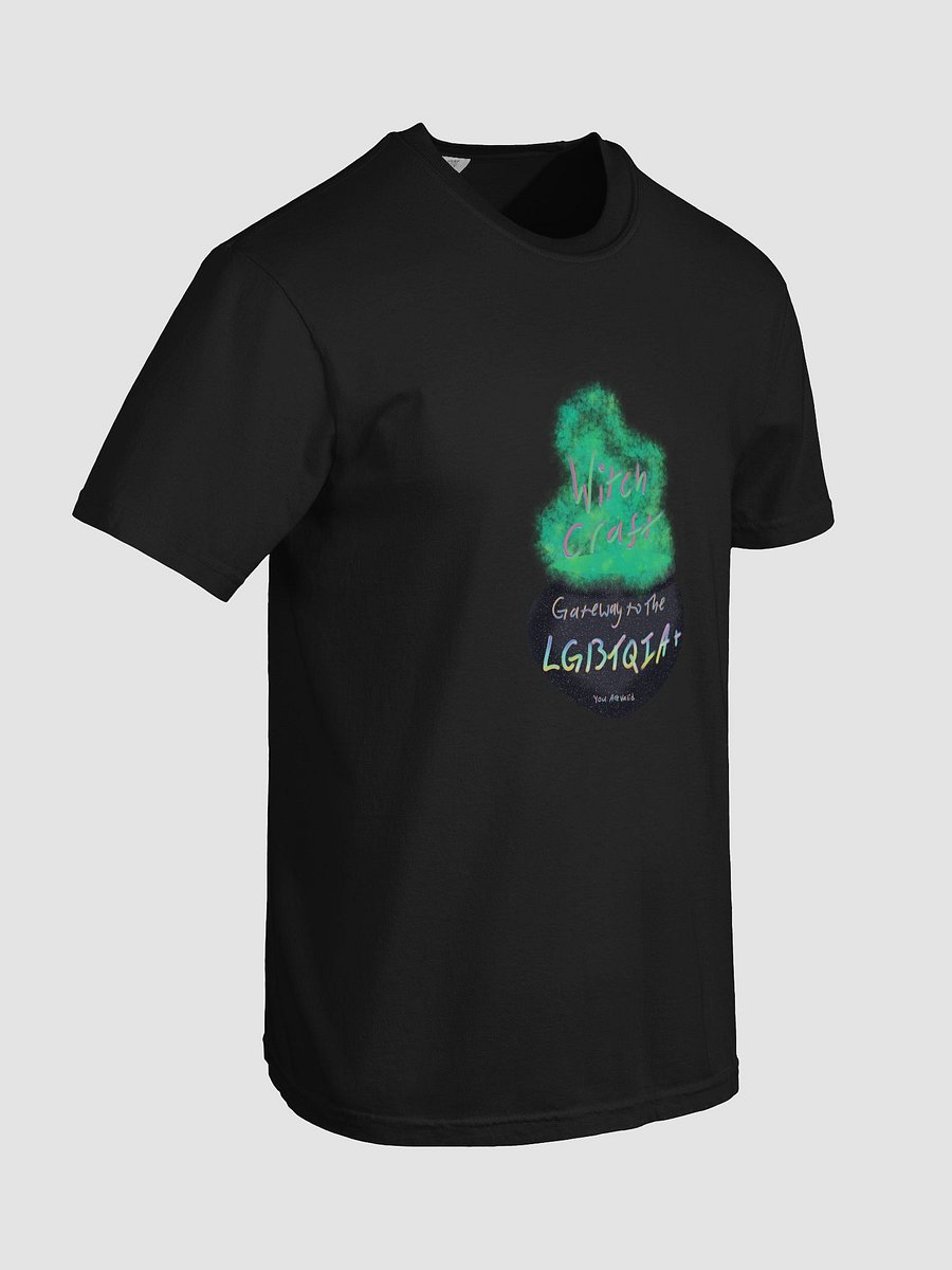 Witchcraft: Gateway to the LGBTQIA+ T-shirt 2 product image (8)