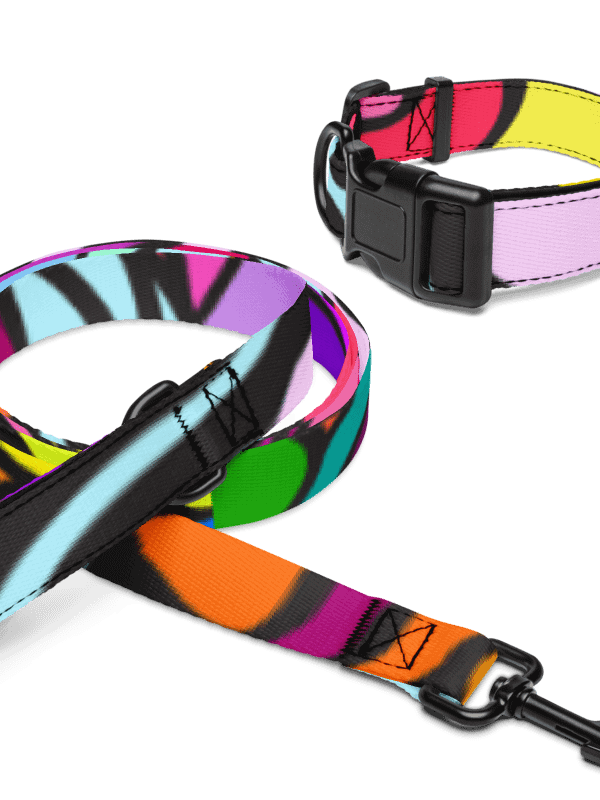 Vibrant Stripes Pet Collar & Leash Set - Wave at Sunset product image (8)