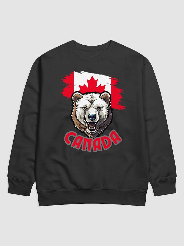 Vintage Americana Premium Sweatshirt product image (4)