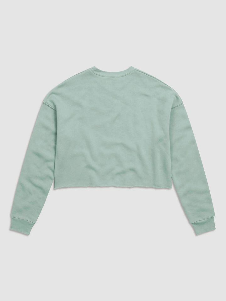 Saving Lives & Building Family Crop Sweatshirt product image (4)