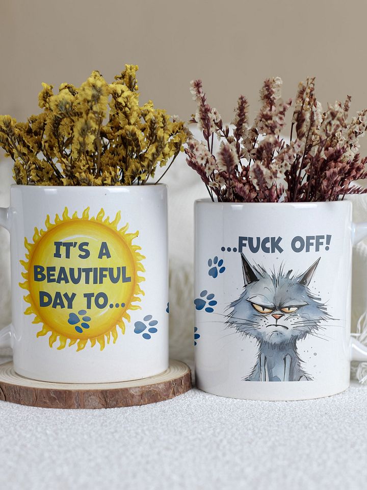 Cat Chat: "It's a beautiful day... to fuck off!" White glossy mug product image (1)