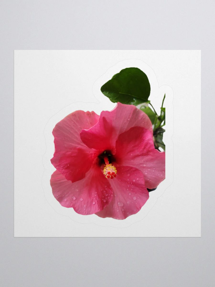 Flower Stickers v2 product image (1)