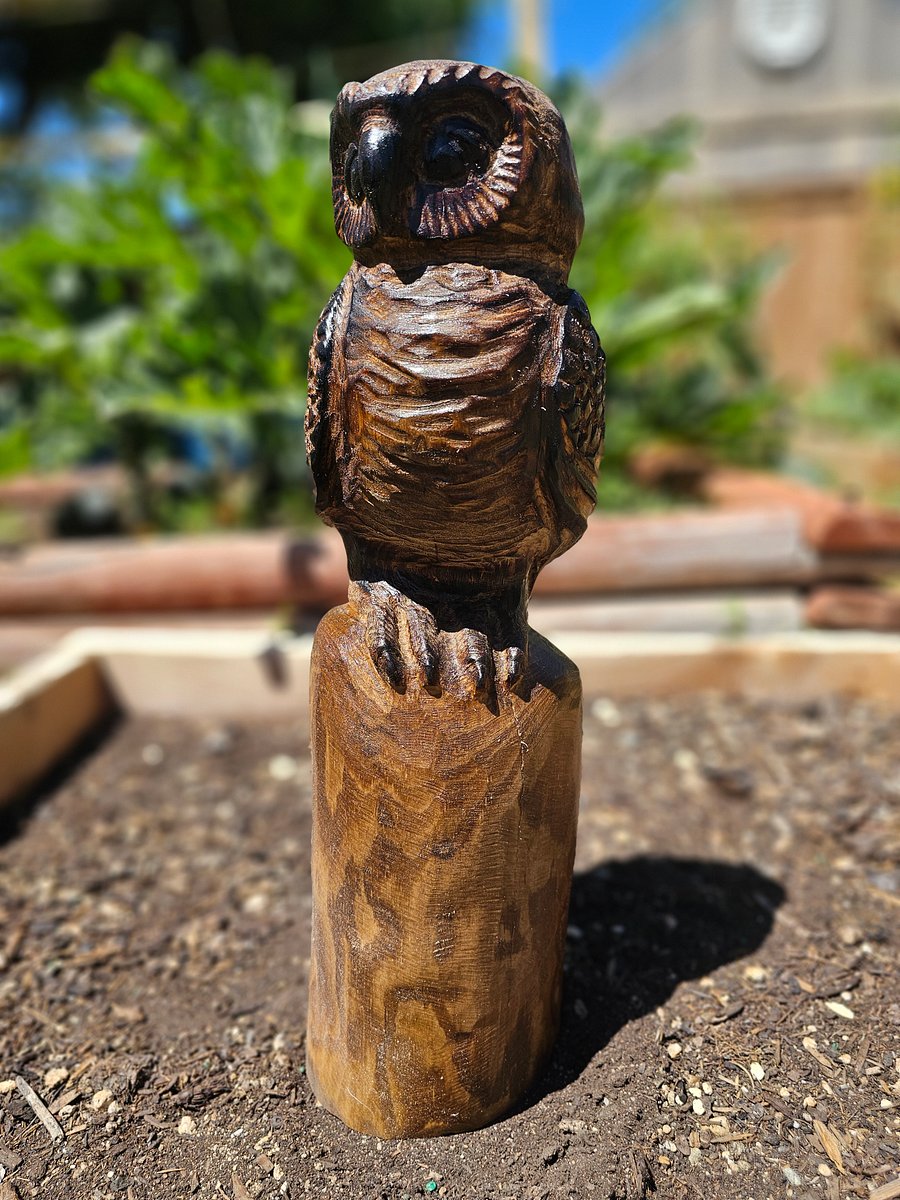 Sleepy Owl Wood Carving product image (5)