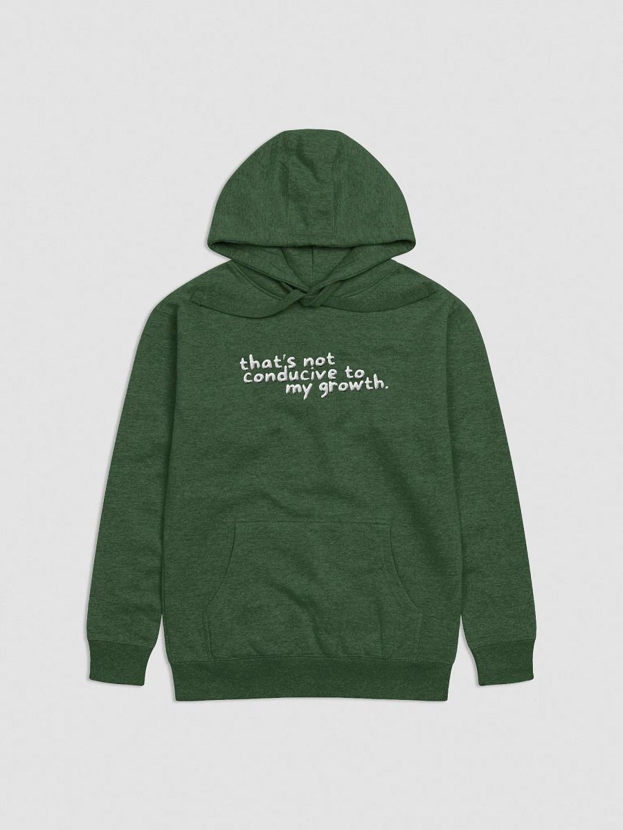 Conducive Hoodie (Embroidered) product image (1)
