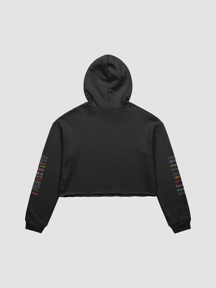 2023 Community Crop Hoodie product image (4)