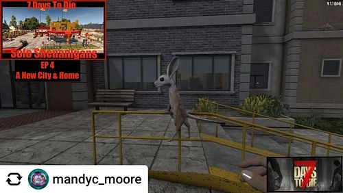 Ummm, wth is that critter?! Posted @withregram • @mandyc_moore It's time to get back into some solo gameplay with a new city ...