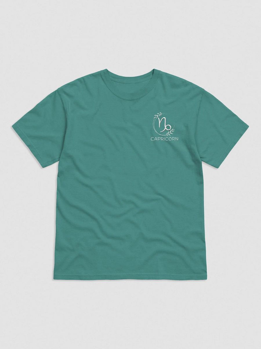What's Your Moon Sign? ~Capricorn~ product image (43)