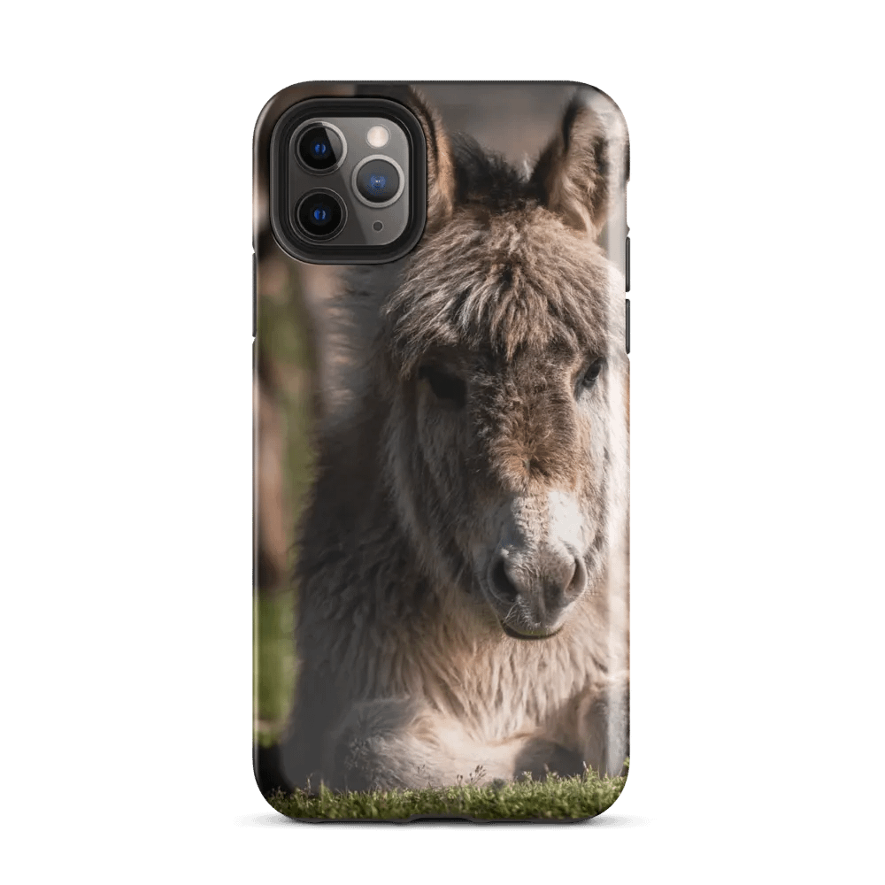 Perfect Donkey Phone Case - Protect Your Phone with Style! product image (34)