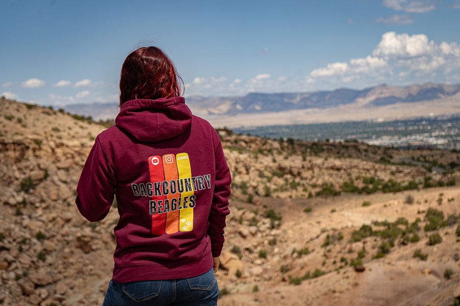 Backcountry Beagles Logo Hoodie product image (3)
