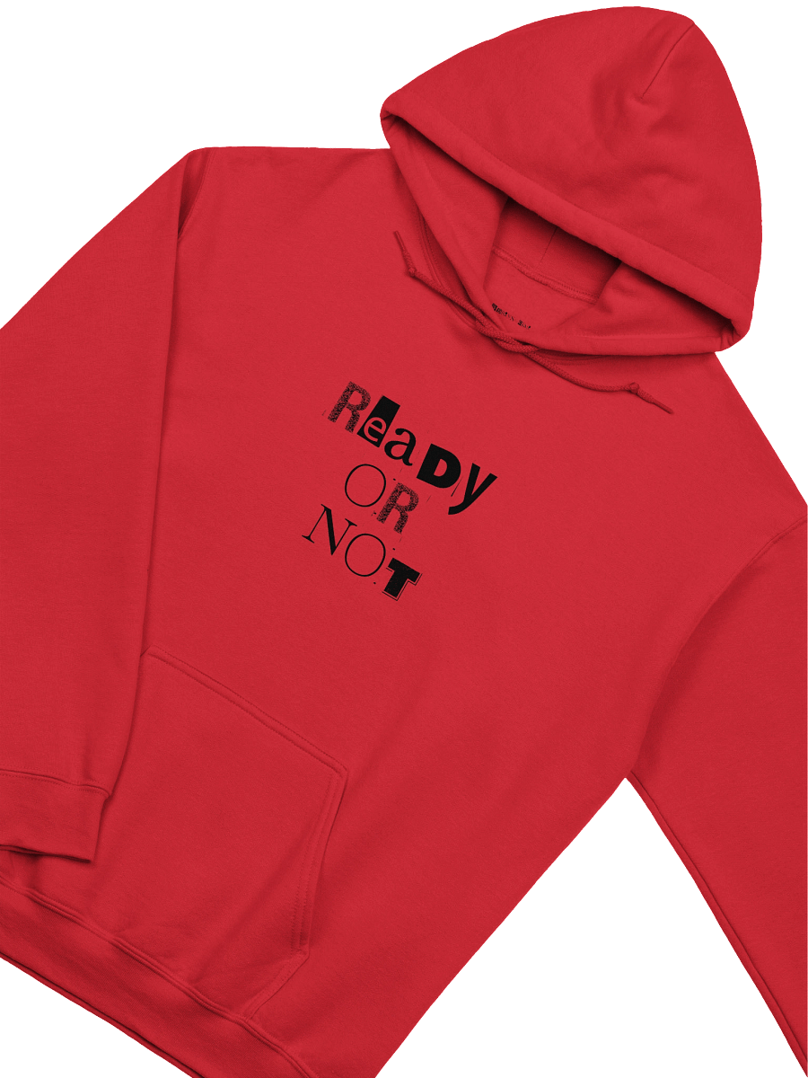 Ready or Not Black Logo Hoodie product image (3)