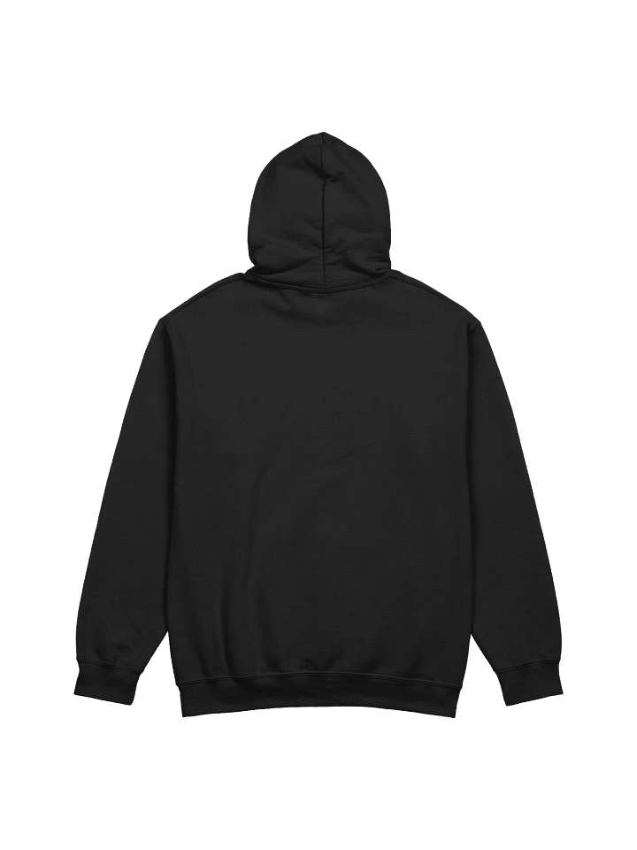 TRANS RIGHTS ARE HUMAN RIGHTS Hoodie product image (16)