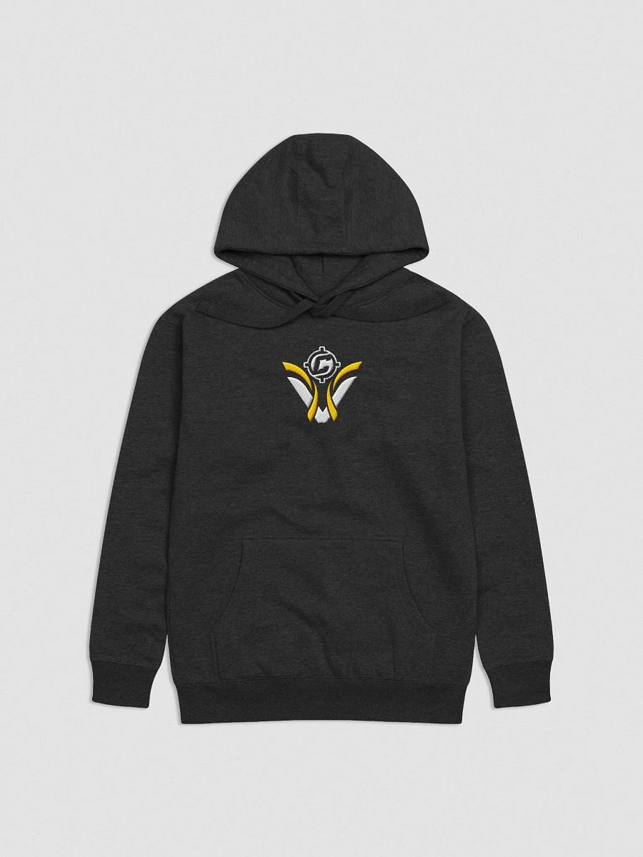 Visionary x CoopStreams Embroidered Hoodie product image (1)