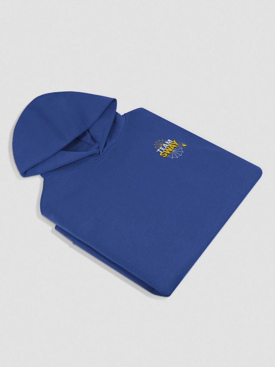 TEAM SWAY Stylized Hoodie product image (4)