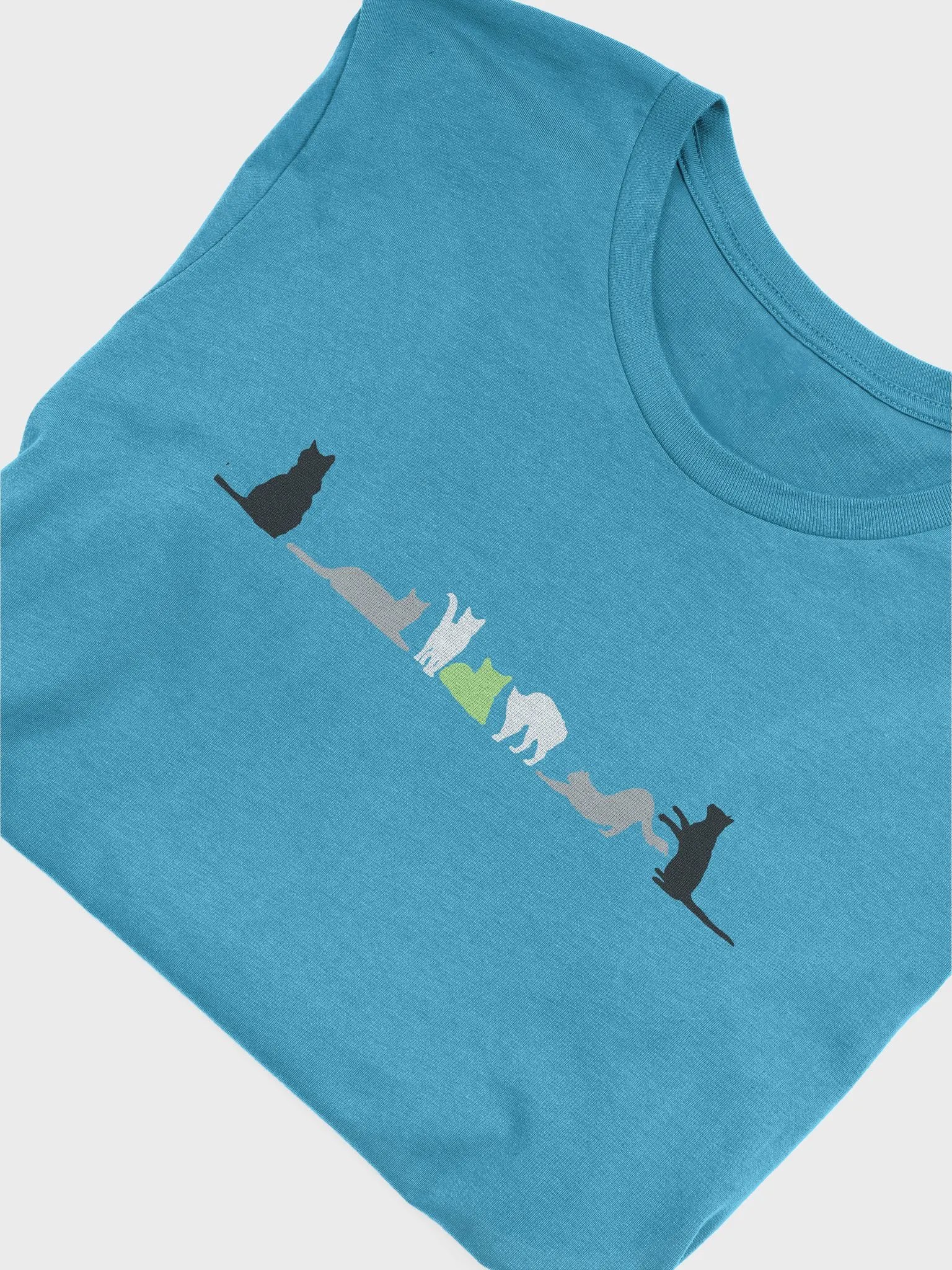 Agender Pride Cats Women's Shirt product image (45)