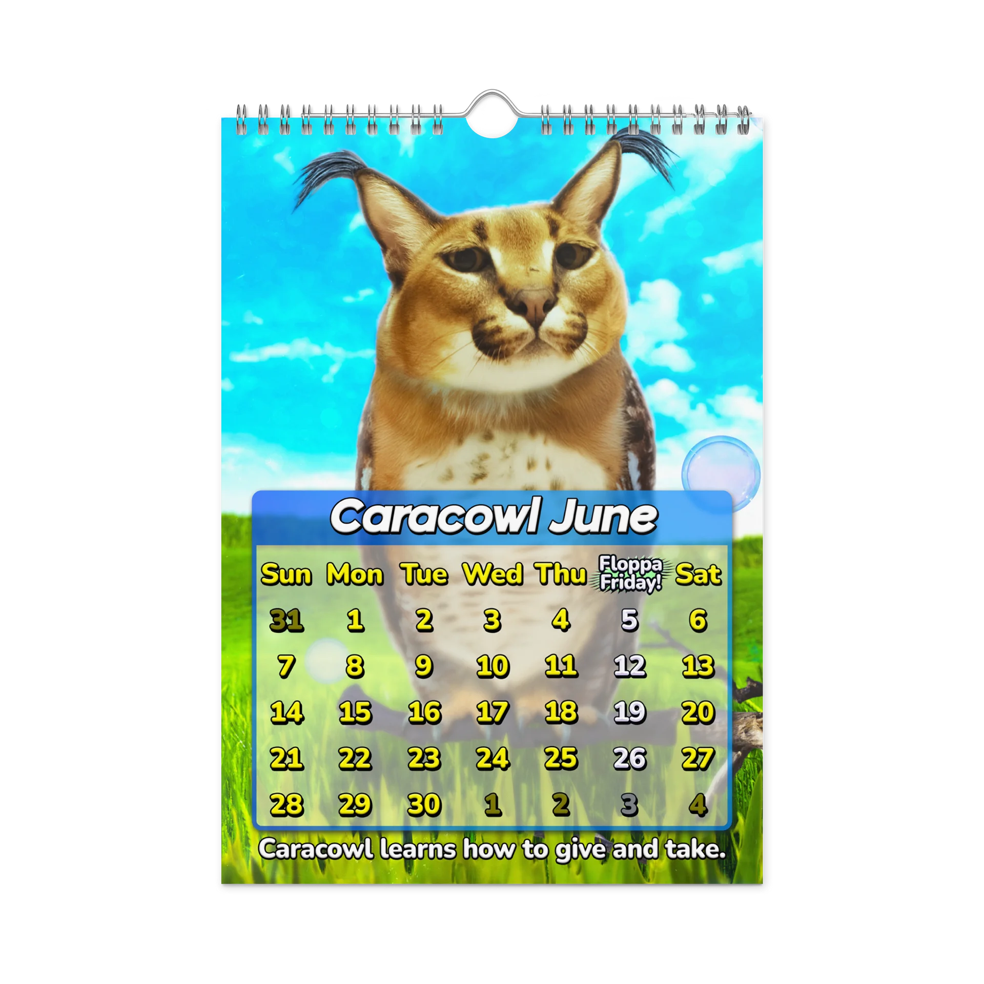 MEDIUM CARACALENDAR 2026 (Limited Edition) product image (8)