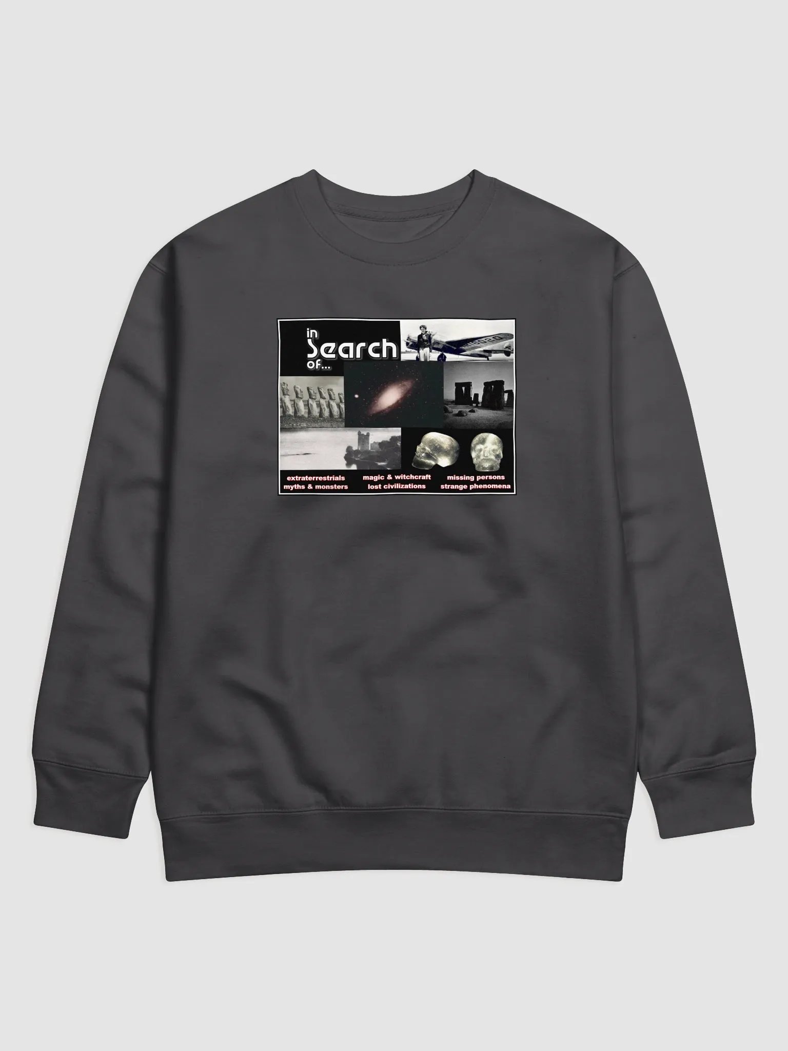 In Search of...Sweatshirt product image (1)