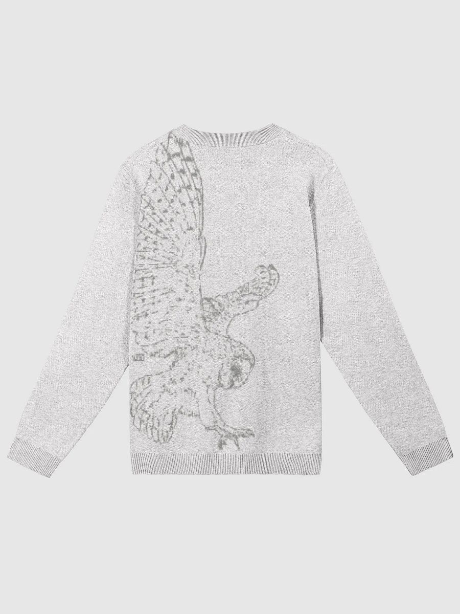 Take Flight - Jacquard Knitted Crewneck product image (2)