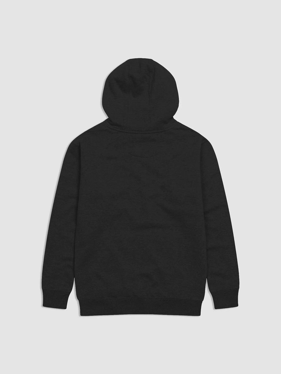 BLACK COTTON HOODIE (BLUE/PURPLE VAC LOGO) product image (2)