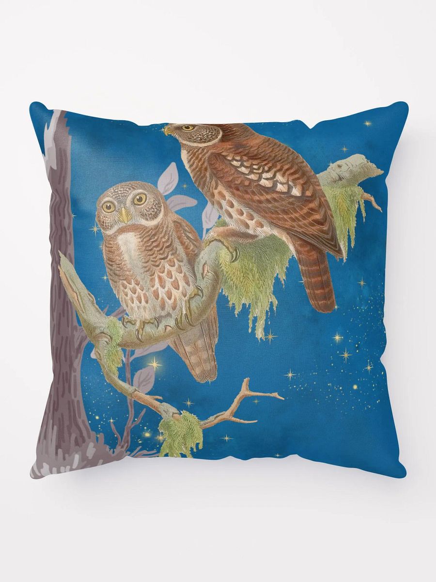 Night Owls product image (9)