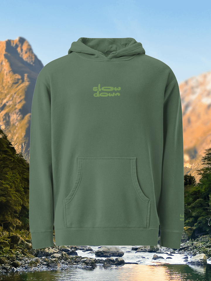Forest Embroidered 'Slow Down' Pigment-Dyed Hoodie product image (1)