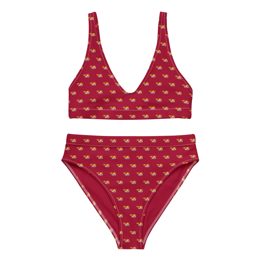 MSLA Red High Waisted Bikini product image (5)