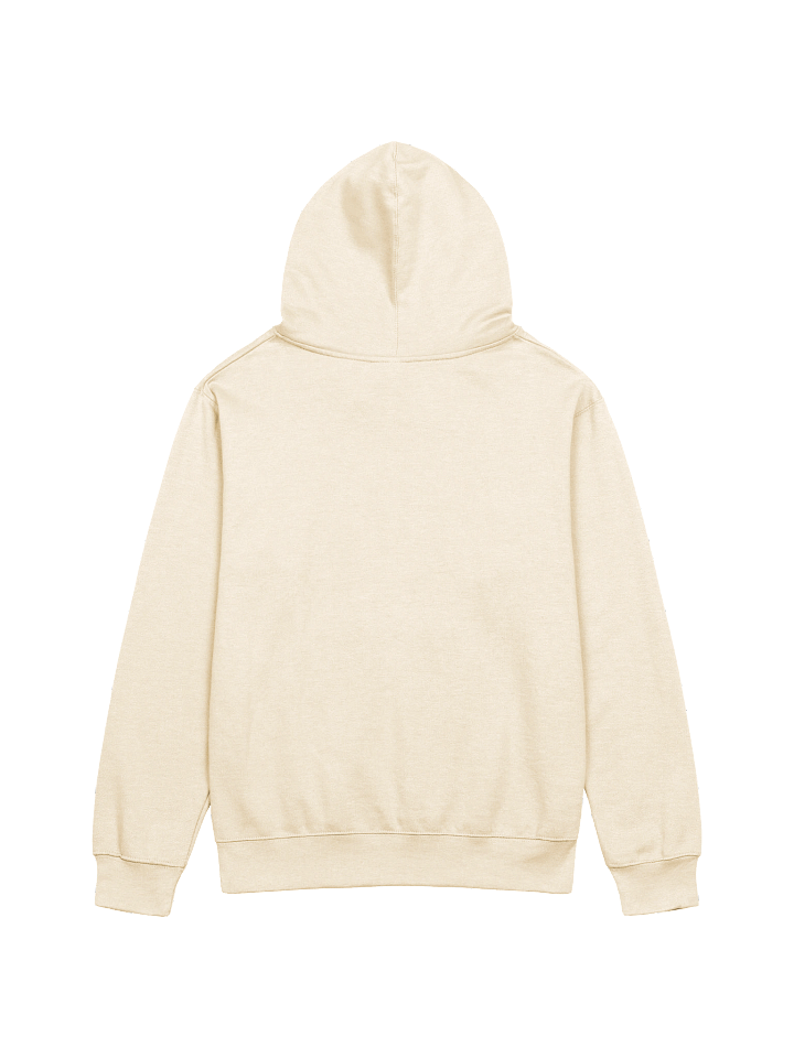 Discipleship Hoodie product image (2)