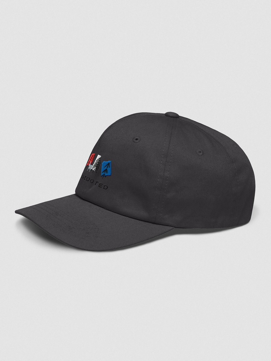 Patriotic Enrooted Flexible Fit Hat product image (3)