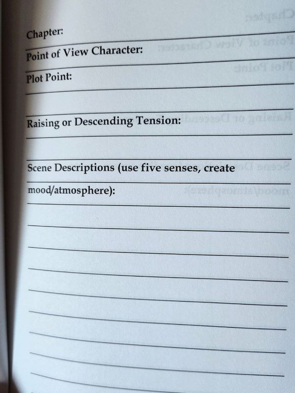 A Writer's Journal: With Plotting Guide - KOI Fish (First Edition) product image (2)
