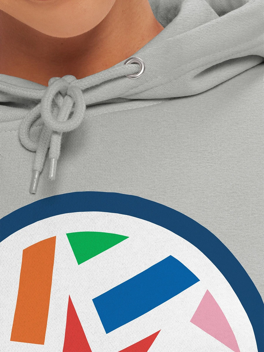 New CMSA Logo Hoodie product image (7)