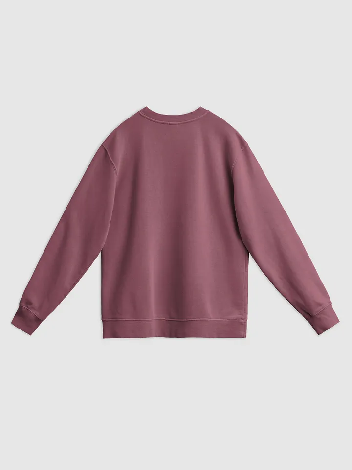 BUSY-BRAINED (white) printed pigment crewneck product image (2)