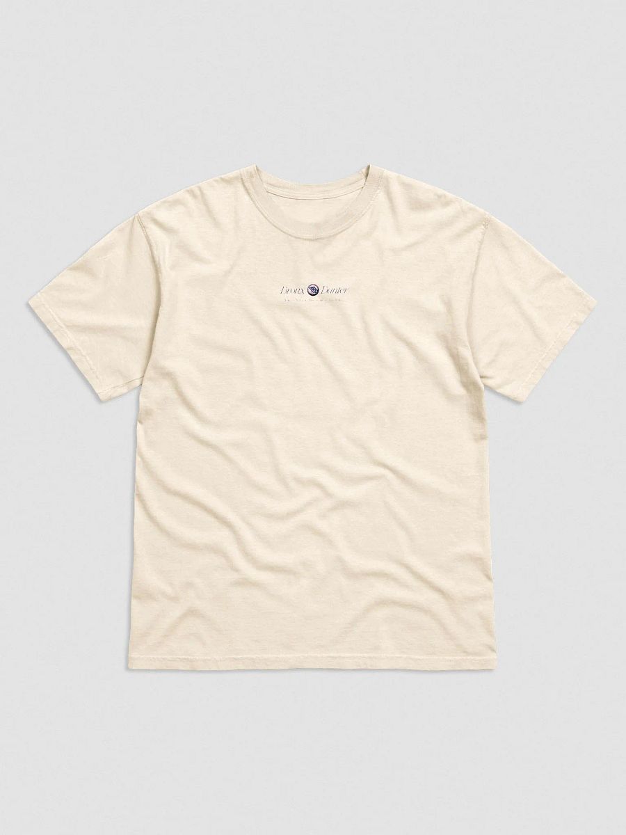 Bronx Banter Embroidered - T-Shirt product image (2)