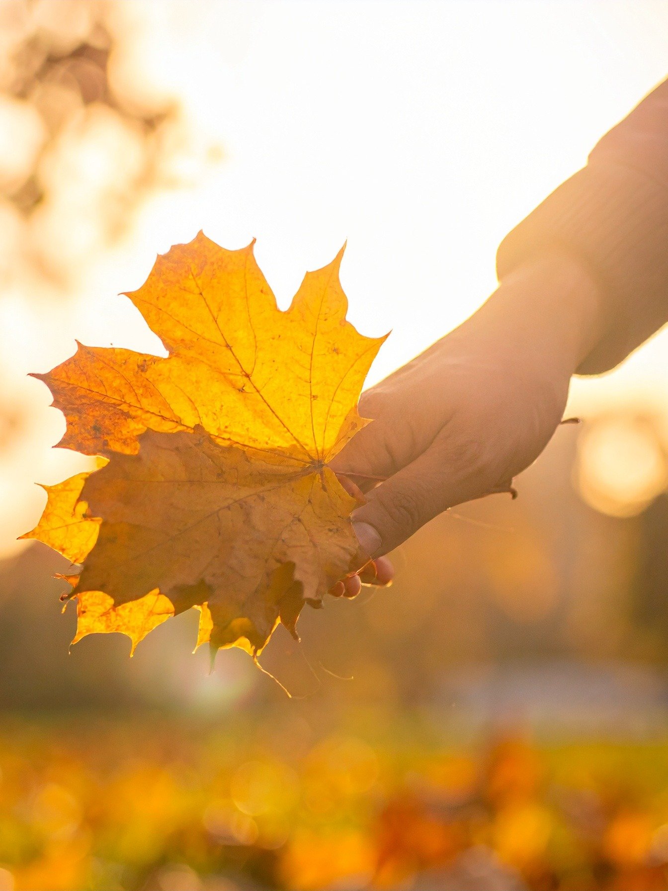 Falling Into You product image (1)