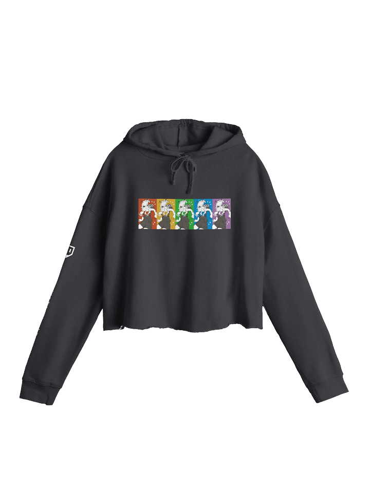 Northern Saw-whet Owl Lightweight Crop Hoodie - Rainbow (Dark Colours) product image (1)