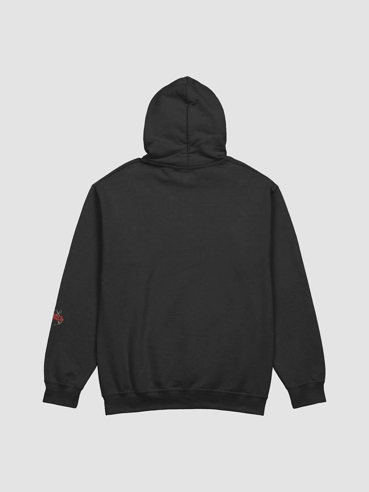 Synisisms Collection - Jesus TF Christ Hoodie product image (2)