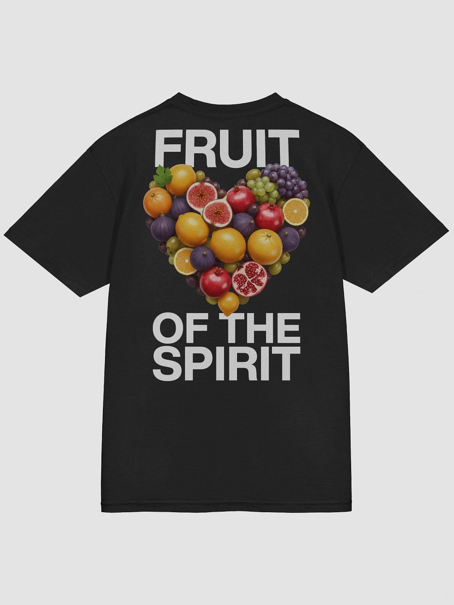 Fruit of the Spirit Heavyweight Tee (Black) product image (4)