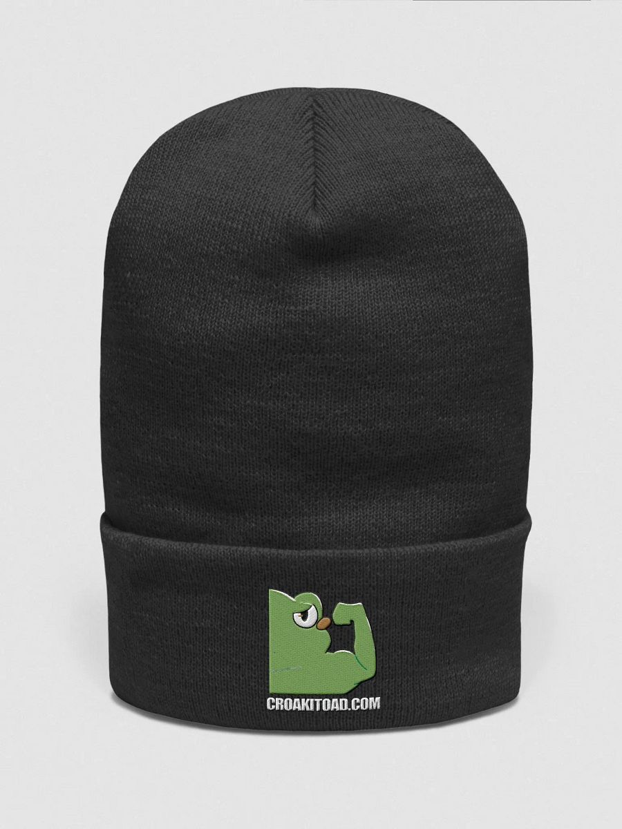 Croakitoad Flex Beanie product image (8)