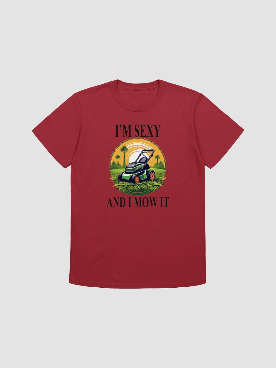 Men's Sexy Tee product image (10)